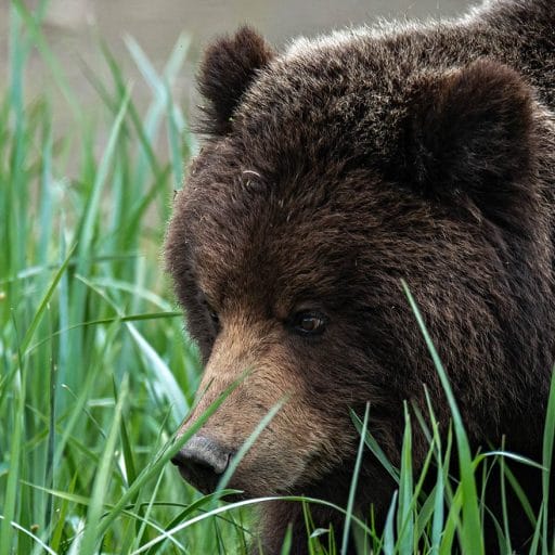 Welcome to Wild Coast