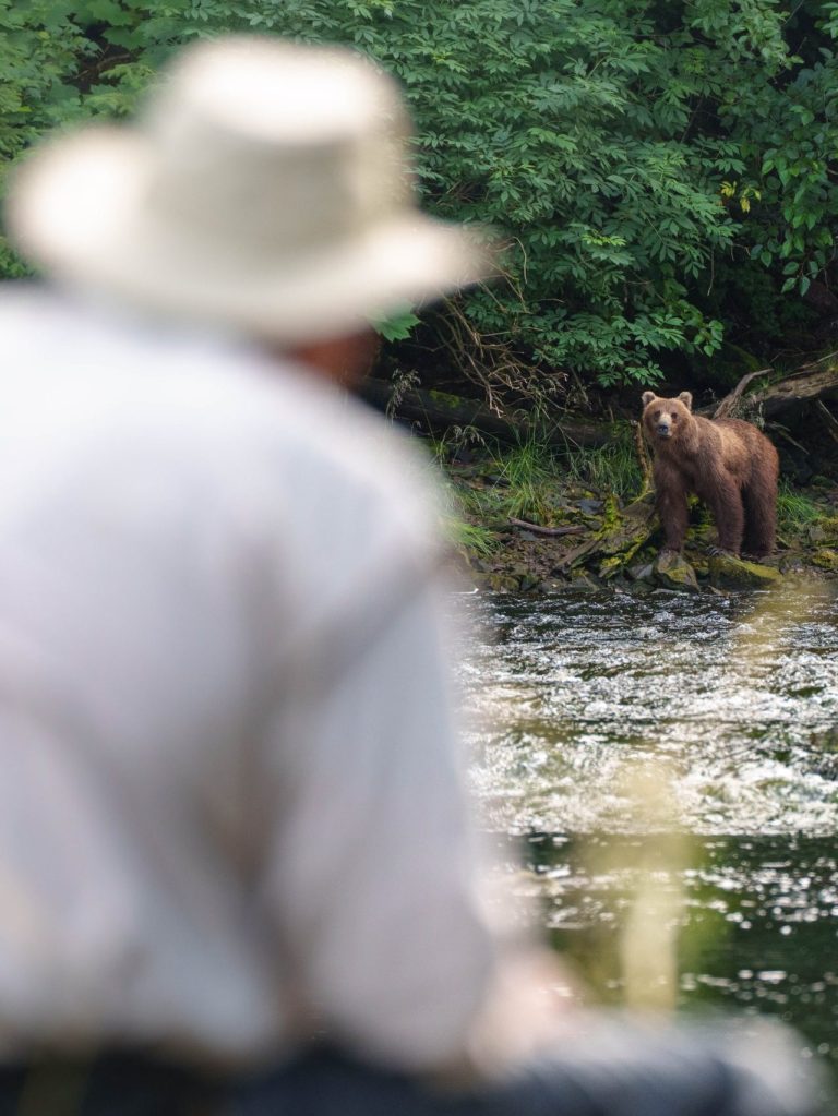 Guest watching a brown bear during a private bear viewing tour at Waterfall Creek near Juneau.