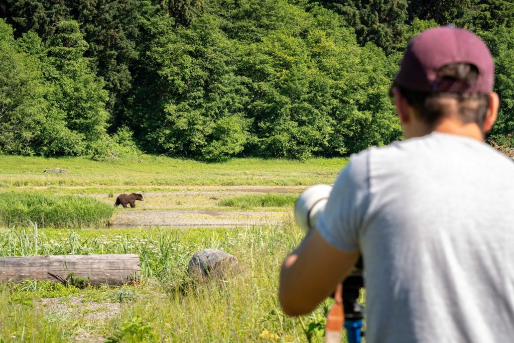 Pack Creek Bear Viewing in Juneau, Alaska with Wild Coast Excursions. Photo by Nathan Kelley