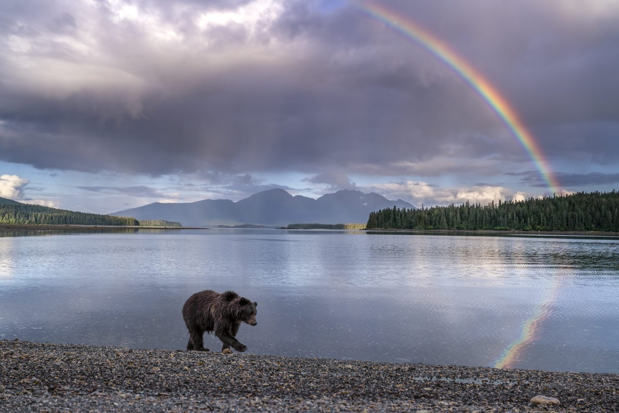 What to Expect at Pack Creek (2026 Guide)