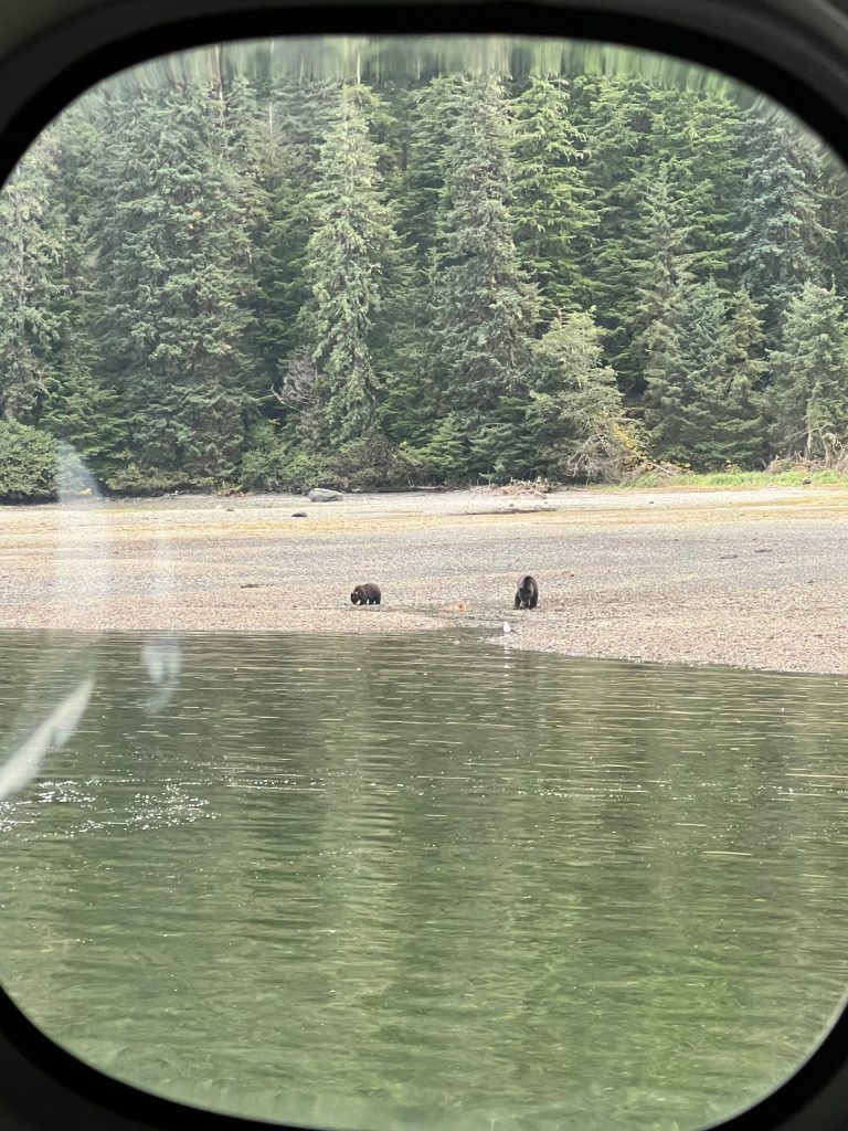 Brown bears clamming on the tidal flats at Pack Creek’s South Spit during low tide, photographed from a floatplane on approach.