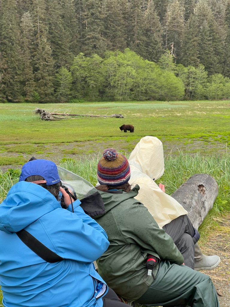 Wild Coast guests and a USFS ranger sitting quietly on a driftwood log at the Pack Creek Viewing Spit, watching a brown bear from a respectful distance.