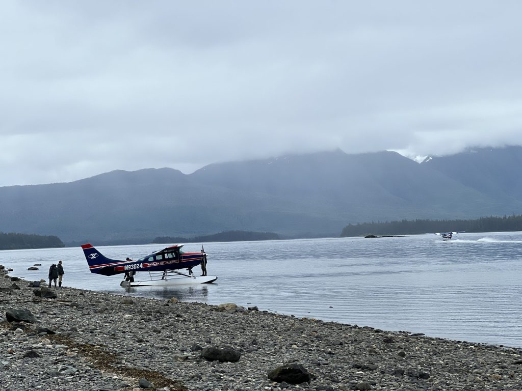 Two Ward Air floatplanes at Pack Creek’s South Spit — one unloading visitors into shallow water, the other departing along the tidal flats.